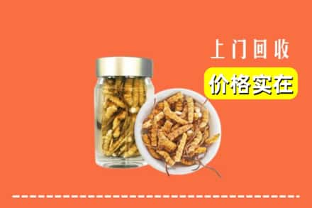 收购资讯:松原宁江区回收散虫草