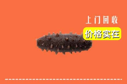 收购资讯:松原宁江区回收海参